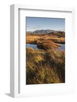 Autumn color with mountains in Thingvellir National Park, UNESCO World Heritage Site, Iceland, Pola-Jon Reaves-Framed Photographic Print