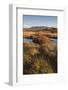 Autumn color with mountains in Thingvellir National Park, UNESCO World Heritage Site, Iceland, Pola-Jon Reaves-Framed Photographic Print