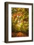 Autumn Colordul Path-Philippe Sainte-Laudy-Framed Photographic Print