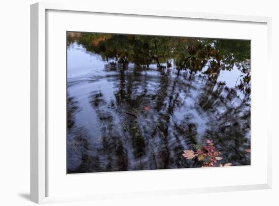 Autumn Colored Leaves In Pool Of Ripples-Anthony Paladino-Framed Giclee Print