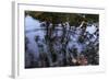 Autumn Colored Leaves In Pool Of Ripples-Anthony Paladino-Framed Giclee Print