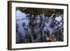 Autumn Colored Leaves In Pool Of Ripples-Anthony Paladino-Framed Giclee Print