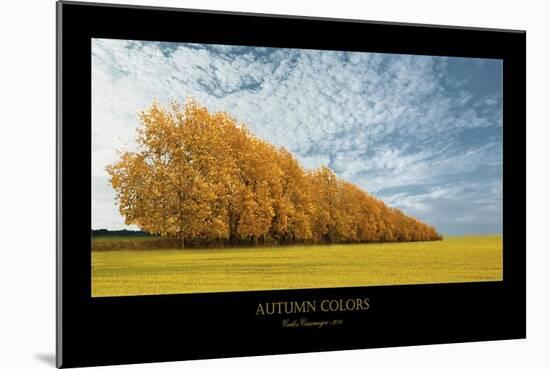 Autumn Colors 1-Carlos Casamayor-Mounted Giclee Print