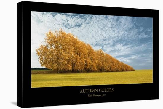 Autumn Colors 1-Carlos Casamayor-Stretched Canvas