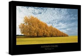 Autumn Colors 1-Carlos Casamayor-Stretched Canvas