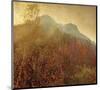 Autumn Colors 2-Carlos Casamayor-Mounted Art Print