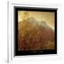 Autumn Colors 2-Carlos Casamayor-Framed Giclee Print