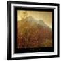 Autumn Colors 2-Carlos Casamayor-Framed Giclee Print