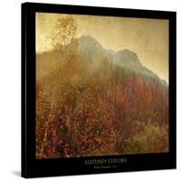 Autumn Colors 2-Carlos Casamayor-Stretched Canvas