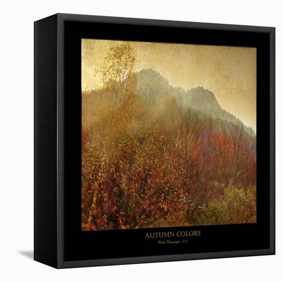 Autumn Colors 2-Carlos Casamayor-Framed Stretched Canvas