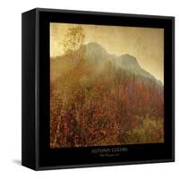 Autumn Colors 2-Carlos Casamayor-Framed Stretched Canvas