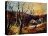 Autumn Colors 561007-Pol Ledent-Stretched Canvas