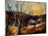 Autumn Colors 561007-Pol Ledent-Mounted Art Print