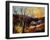 Autumn Colors 561007-Pol Ledent-Framed Art Print