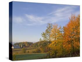 Autumn Colors accent farm buildings near Chippewa Falls, Wisconsin, USA-Chuck Haney-Stretched Canvas