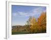 Autumn Colors accent farm buildings near Chippewa Falls, Wisconsin, USA-Chuck Haney-Framed Photographic Print