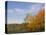 Autumn Colors accent farm buildings near Chippewa Falls, Wisconsin, USA-Chuck Haney-Stretched Canvas