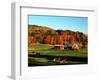 Autumn Colors and Farm Cows, Vermont, USA-Charles Sleicher-Framed Premium Photographic Print