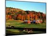 Autumn Colors and Farm Cows, Vermont, USA-Charles Sleicher-Mounted Premium Photographic Print