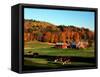 Autumn Colors and Farm Cows, Vermont, USA-Charles Sleicher-Framed Stretched Canvas