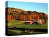 Autumn Colors and Farm Cows, Vermont, USA-Charles Sleicher-Stretched Canvas