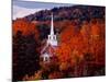 Autumn Colors and First Baptist Church of South Londonderry, Vermont, USA-Charles Sleicher-Mounted Photographic Print