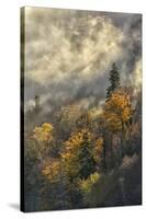 Autumn Colors and mist at sunrise, Blue Ridge Mountains at sunrise, North Carolina-Adam Jones-Stretched Canvas