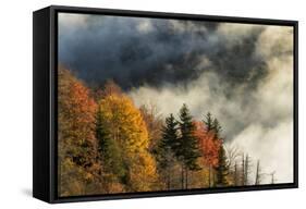 Autumn Colors and Mist at Sunrise, North Carolina-Adam Jones-Framed Stretched Canvas