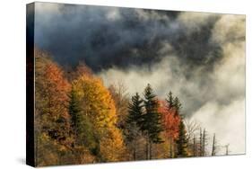 Autumn Colors and Mist at Sunrise, North Carolina-Adam Jones-Stretched Canvas