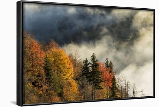 Autumn Colors and Mist at Sunrise, North Carolina-Adam Jones-Framed Photographic Print