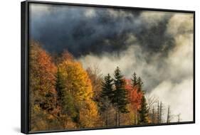 Autumn Colors and Mist at Sunrise, North Carolina-Adam Jones-Framed Photographic Print