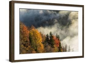 Autumn Colors and Mist at Sunrise, North Carolina-Adam Jones-Framed Photographic Print