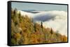 Autumn Colors and Mist at Sunrise, North Carolina-Adam Jones-Framed Stretched Canvas