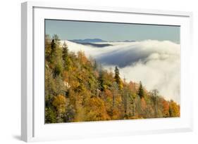 Autumn Colors and Mist at Sunrise, North Carolina-Adam Jones-Framed Photographic Print