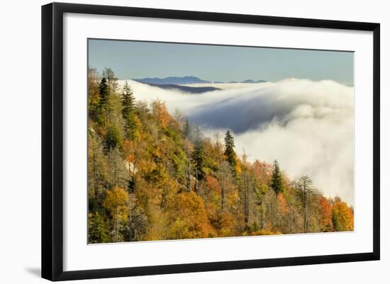 Autumn Colors and Mist at Sunrise, North Carolina-Adam Jones-Framed Photographic Print