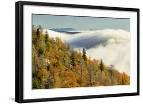 Autumn Colors and Mist at Sunrise, North Carolina-Adam Jones-Framed Photographic Print