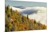 Autumn Colors and Mist at Sunrise, North Carolina-Adam Jones-Mounted Photographic Print