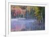 Autumn colors and mist on Council Lake at sunrise, Hiawatha National Forest, Michigan.-Adam Jones-Framed Photographic Print