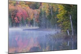 Autumn colors and mist on Council Lake at sunrise, Hiawatha National Forest, Michigan.-Adam Jones-Mounted Photographic Print