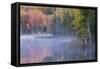 Autumn colors and mist on Council Lake at sunrise, Hiawatha National Forest, Michigan.-Adam Jones-Framed Stretched Canvas