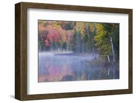 Autumn colors and mist on Council Lake at sunrise, Hiawatha National Forest, Michigan.-Adam Jones-Framed Photographic Print