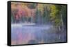 Autumn colors and mist on Council Lake at sunrise, Hiawatha National Forest, Michigan.-Adam Jones-Framed Stretched Canvas