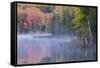 Autumn colors and mist on Council Lake at sunrise, Hiawatha National Forest, Michigan.-Adam Jones-Framed Stretched Canvas