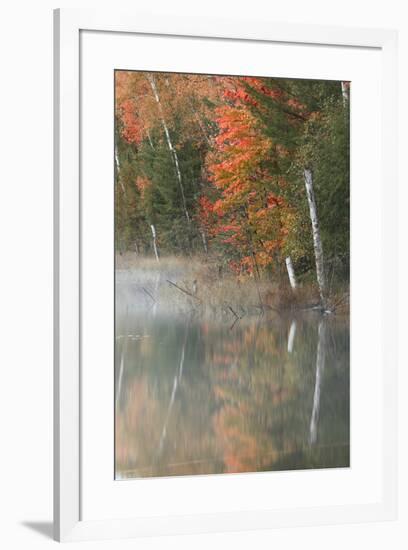 Autumn colors and mist on Council Lake at sunrise, Hiawatha National Forest, Michigan.-Adam Jones-Framed Premium Photographic Print