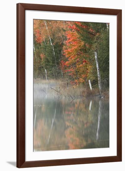 Autumn colors and mist on Council Lake at sunrise, Hiawatha National Forest, Michigan.-Adam Jones-Framed Premium Photographic Print