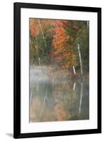 Autumn colors and mist on Council Lake at sunrise, Hiawatha National Forest, Michigan.-Adam Jones-Framed Premium Photographic Print