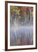 Autumn colors and mist on Council Lake at sunrise, Hiawatha National Forest, Michigan.-Adam Jones-Framed Premium Photographic Print