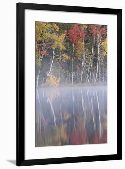 Autumn colors and mist on Council Lake at sunrise, Hiawatha National Forest, Michigan.-Adam Jones-Framed Premium Photographic Print