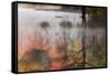 Autumn colors and mist on Council Lake at sunrise, Hiawatha National Forest, Michigan.-Adam Jones-Framed Stretched Canvas