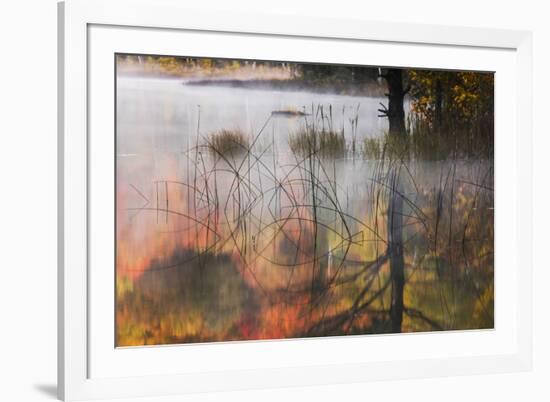 Autumn colors and mist on Council Lake at sunrise, Hiawatha National Forest, Michigan.-Adam Jones-Framed Premium Photographic Print